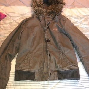 Hollister Jacket